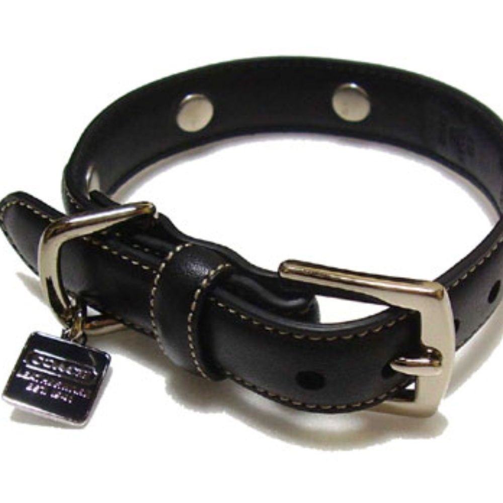 Coach Dog Collar & Leash